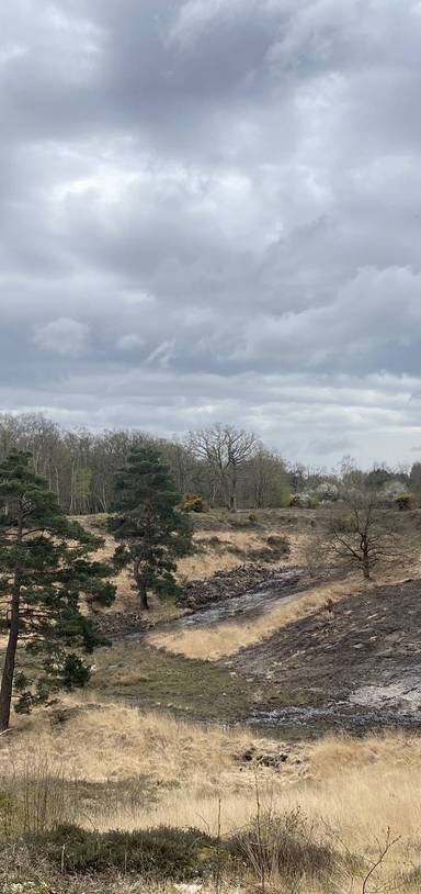 Preview of Hanker for Hazeley Heath