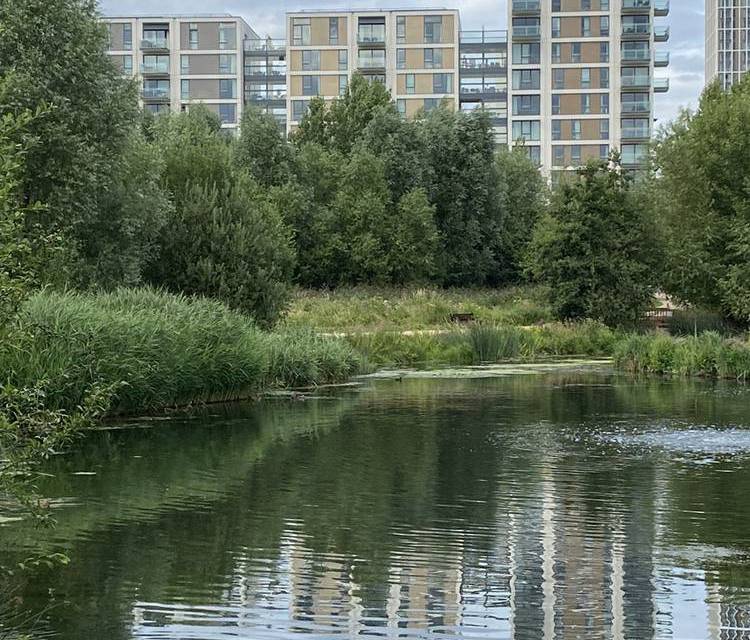 Preview of TfL20 Strolling Stratford