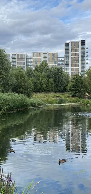 Preview of TfL20 Strolling Stratford 