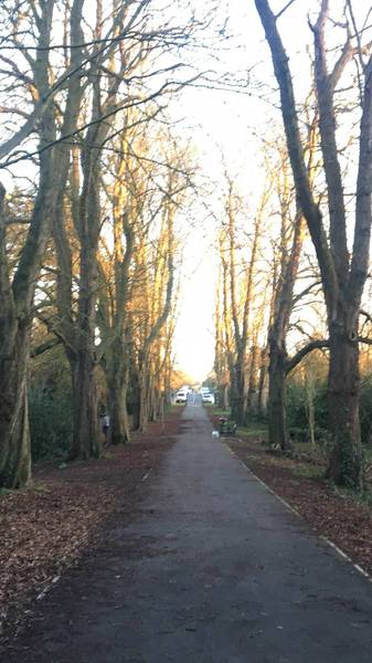 Preview of West Finchley Woods Walk