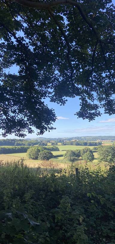 Preview of Spectacular Tour of Killerton Park