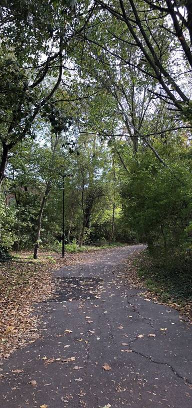 Preview of Beckton’s parks & those planes