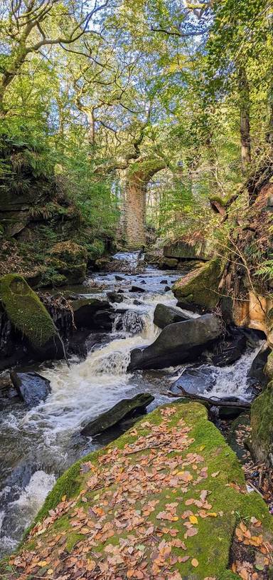 Preview of GM Ringway Stage 11