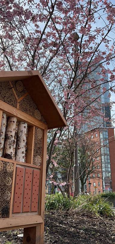 Preview of Moments of Joy in Manchester