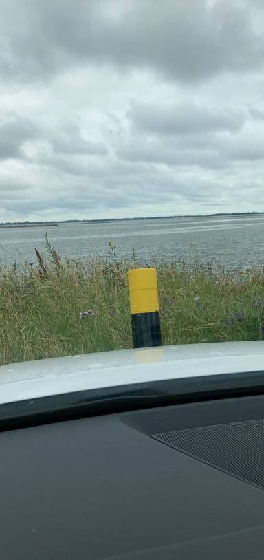 Preview of Great wildlife farlington marshes 