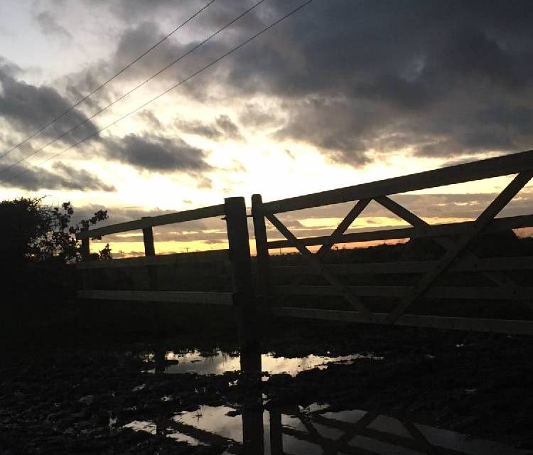 Preview of How Hill & Ludham