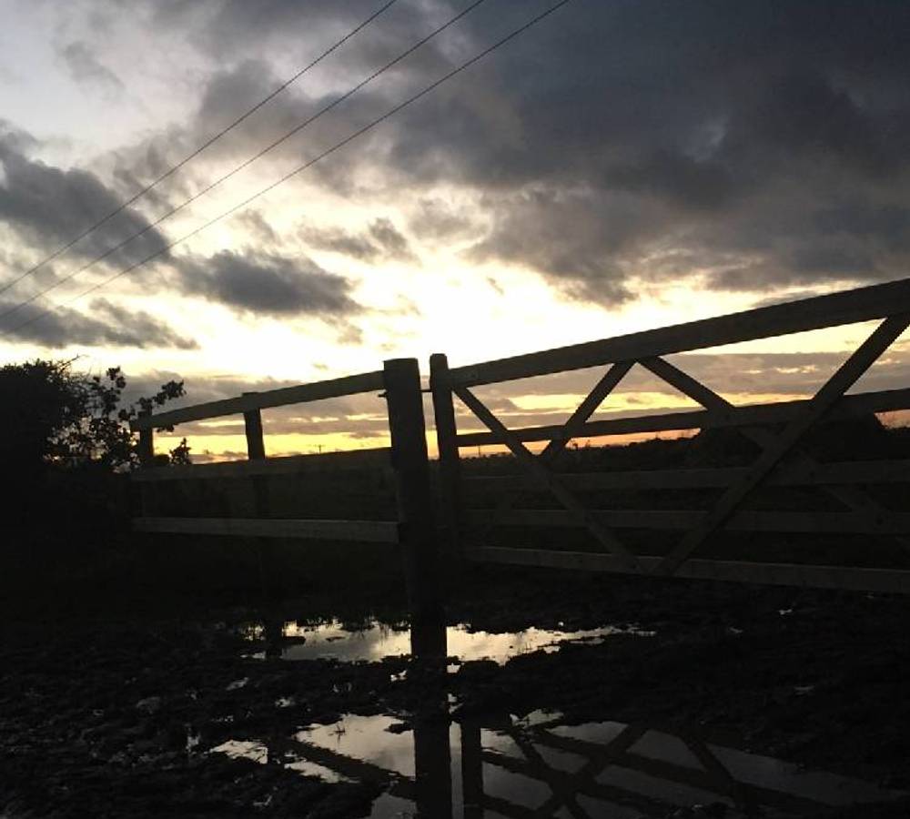 Preview of How Hill & Ludham