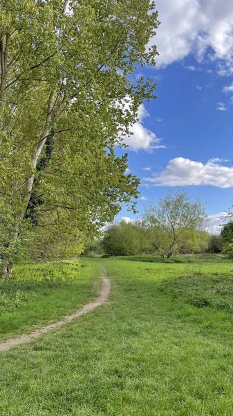 Preview of Aston’s Eyot and The Kidneys