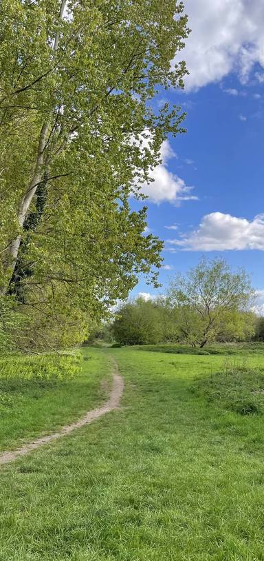 Preview of Aston’s Eyot and The Kidneys