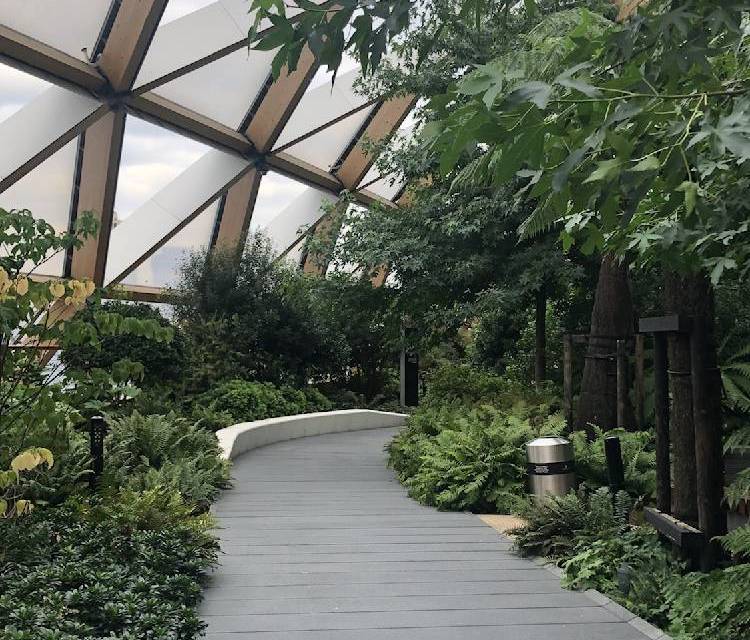 Preview of Crossrail roof gardens walk & grub