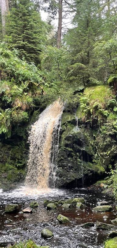 Preview of Byrness to Hindhope Linn Waterfall 