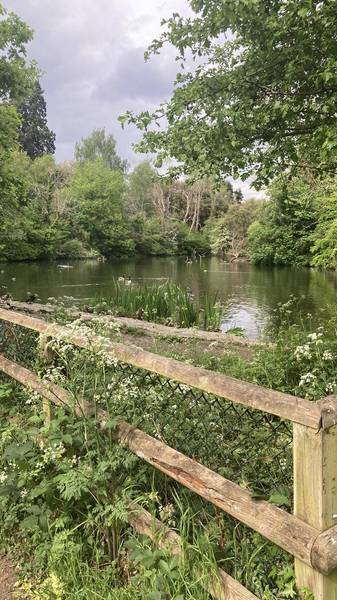 Preview of Vinters Valley Nature Reserve walk