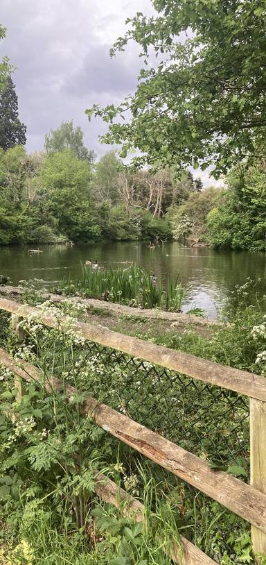 Preview of Vinters Valley Nature Reserve walk