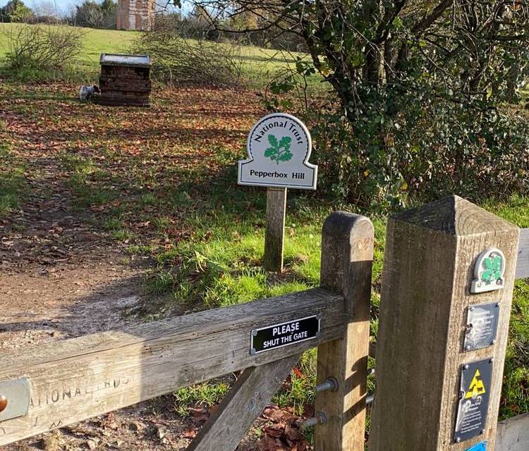 Preview of Pepperbox Hill