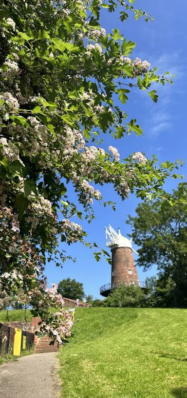 Preview of Super Sneinton & Sneinton Greenway