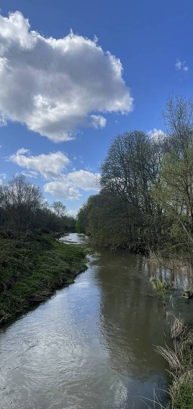 Preview of Ray Park stroll