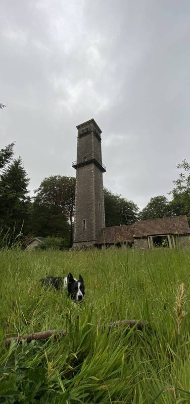 Preview of Cranmore Tower