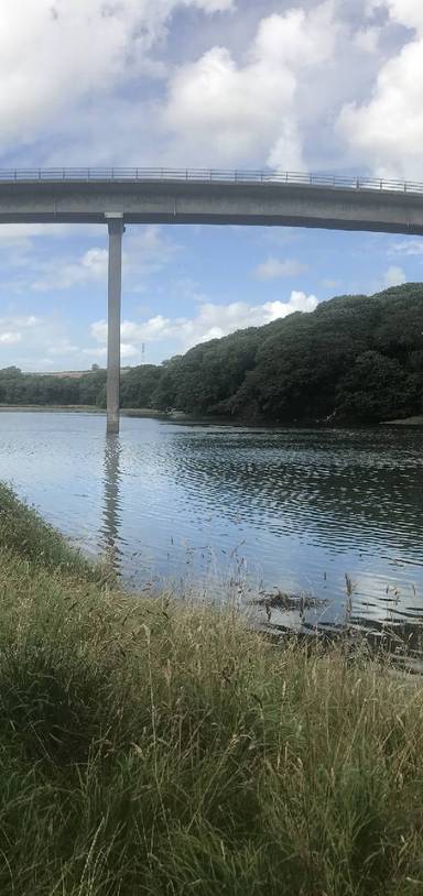 Preview of Neyland nature walk