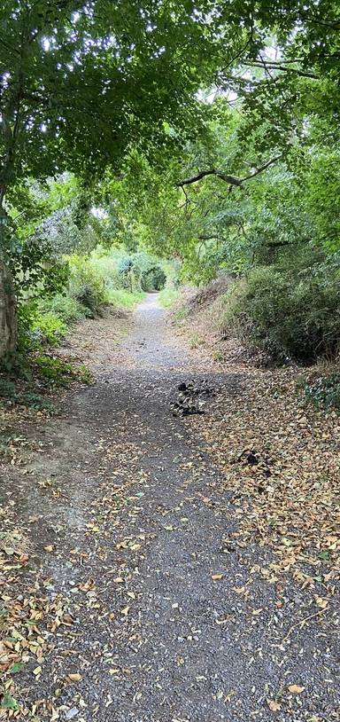 Preview of Rollestone  Farm and Stoke Hill