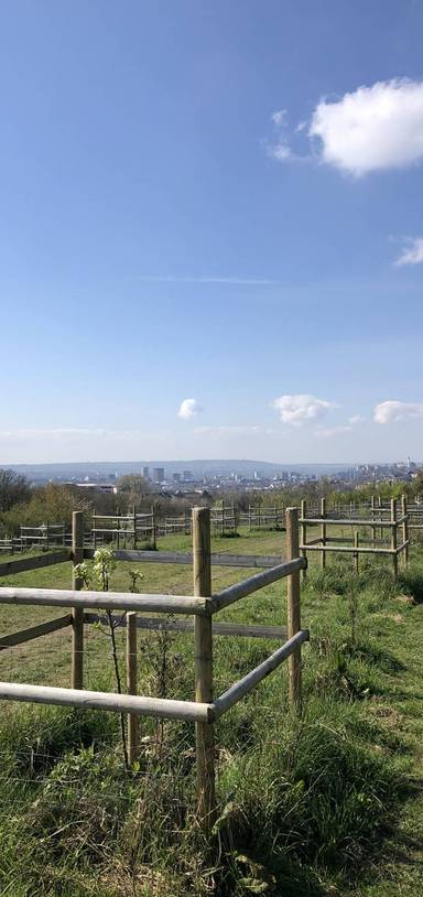 Preview of A Picturesque Purdown Loop