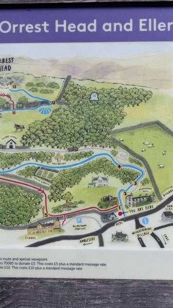 Preview of Orrest Head and Elleray Wood