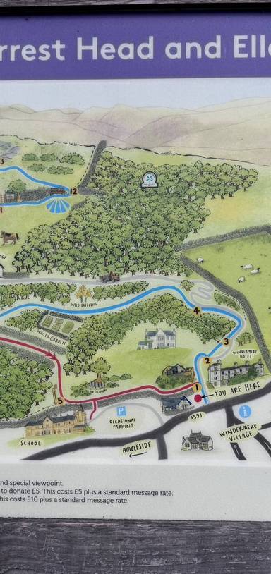 Preview of Orrest Head and Elleray Wood