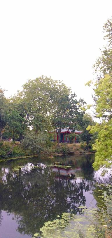 Preview of Victoria Park Autumn Stroll