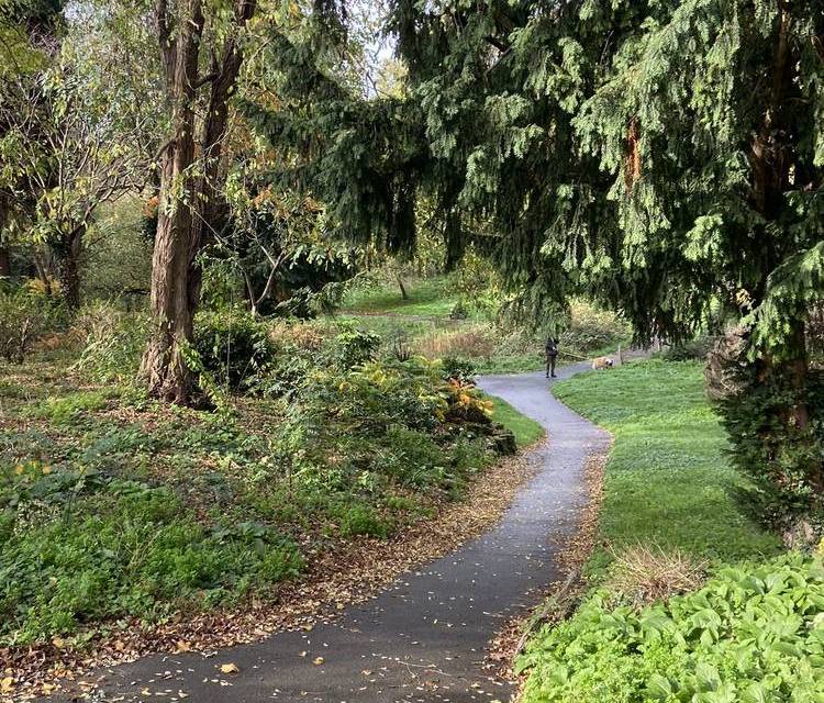 Preview of Green Adventure Trail in Hanwell