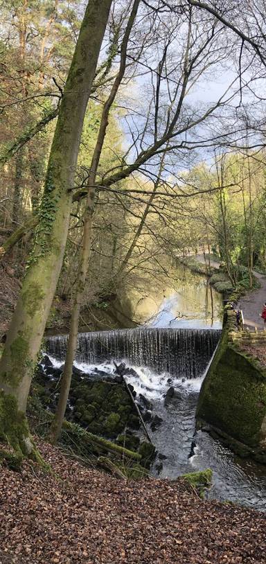 Preview of Ancient Skipton Woods & Castle