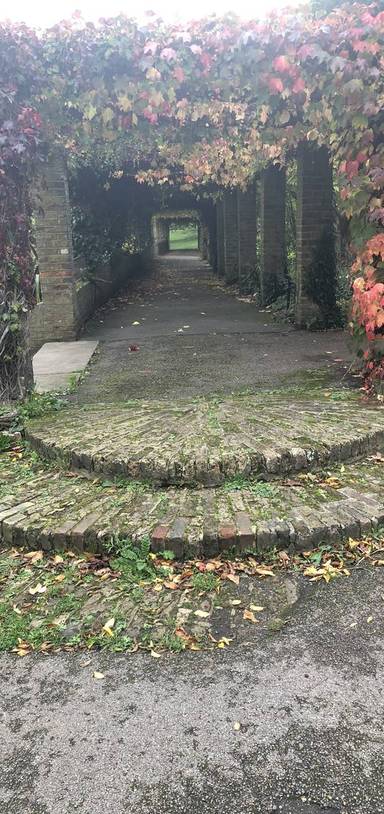 Preview of Autumn in Ruskin Park