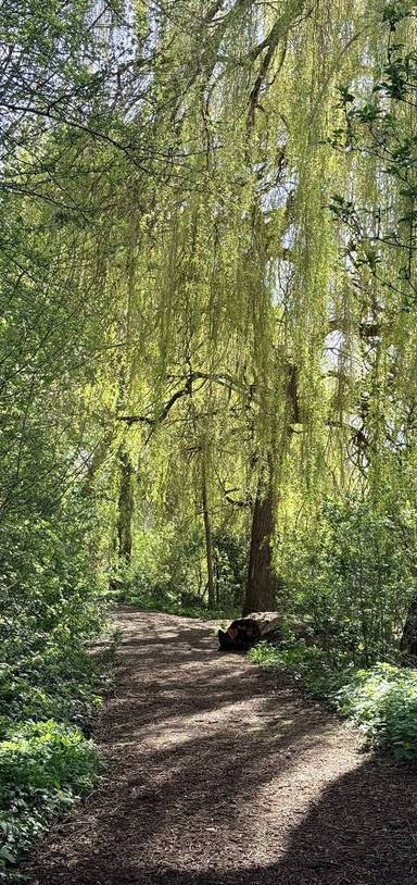 Preview of The Foss Fairy Trail Loop ✨