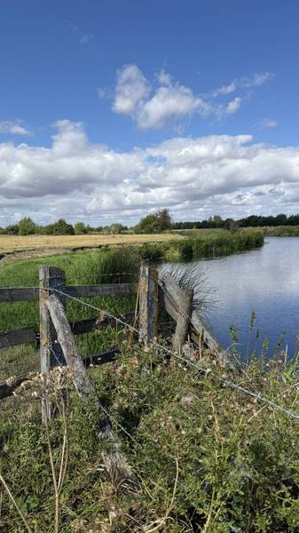 Preview of Tadpole to Radcot Bridge Thames