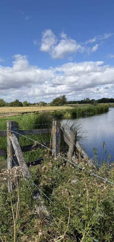Preview of Tadpole to Radcot Bridge Thames