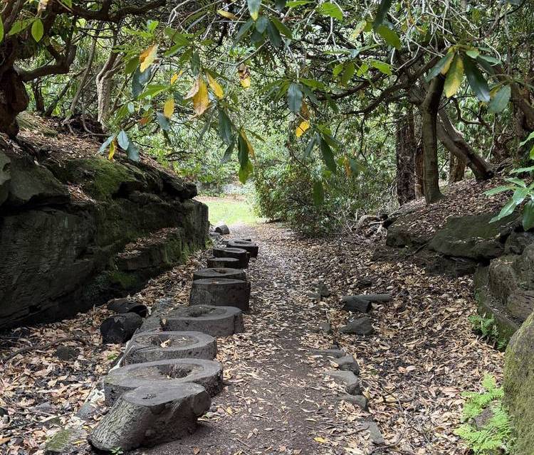 Preview of Woodland Walk in Childwall Woods