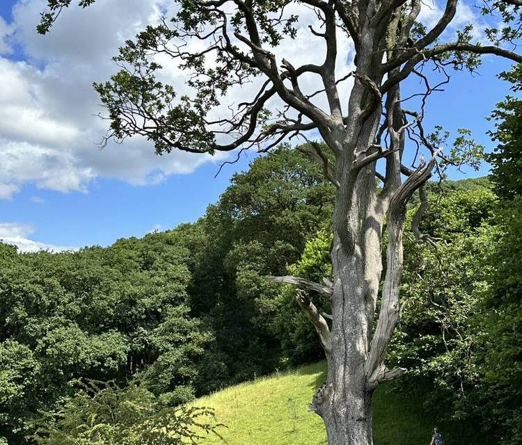 Preview of Nature Knees-up Around Knighton