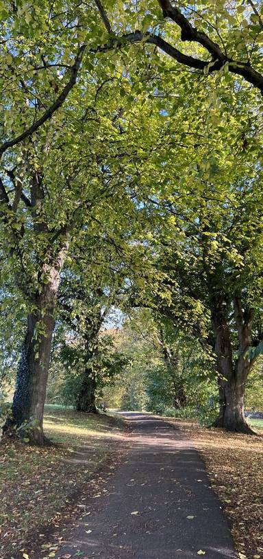 Preview of Hexham General Hospital Green Walk