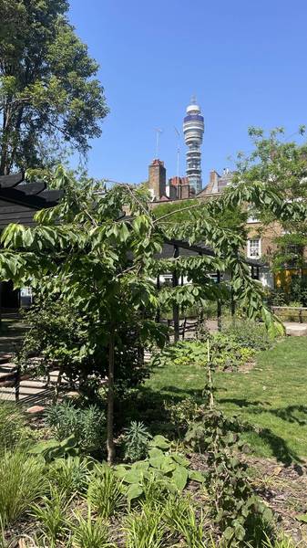 Preview of Signals and Sightlines: BT Tower