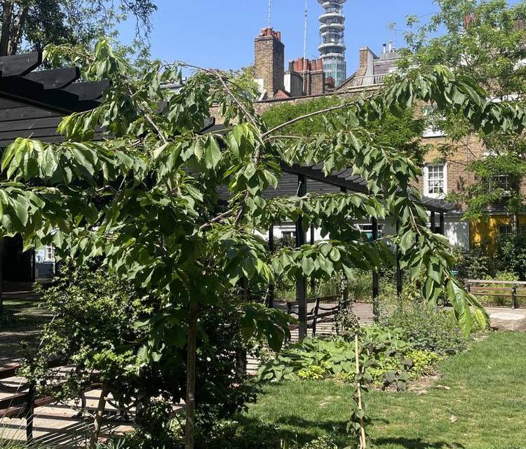 Preview of Signals and Sightlines: BT Tower