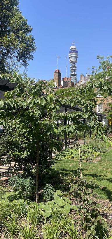 Preview of Signals and Sightlines: BT Tower