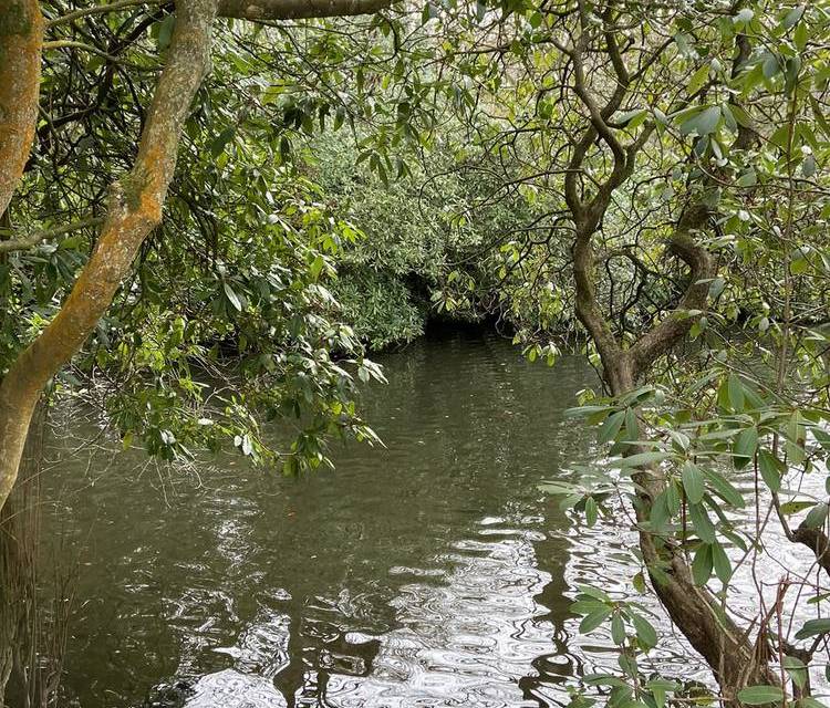 Preview of Highbury Park Linear Walk