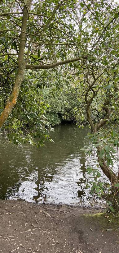 Preview of Highbury Park Linear Walk
