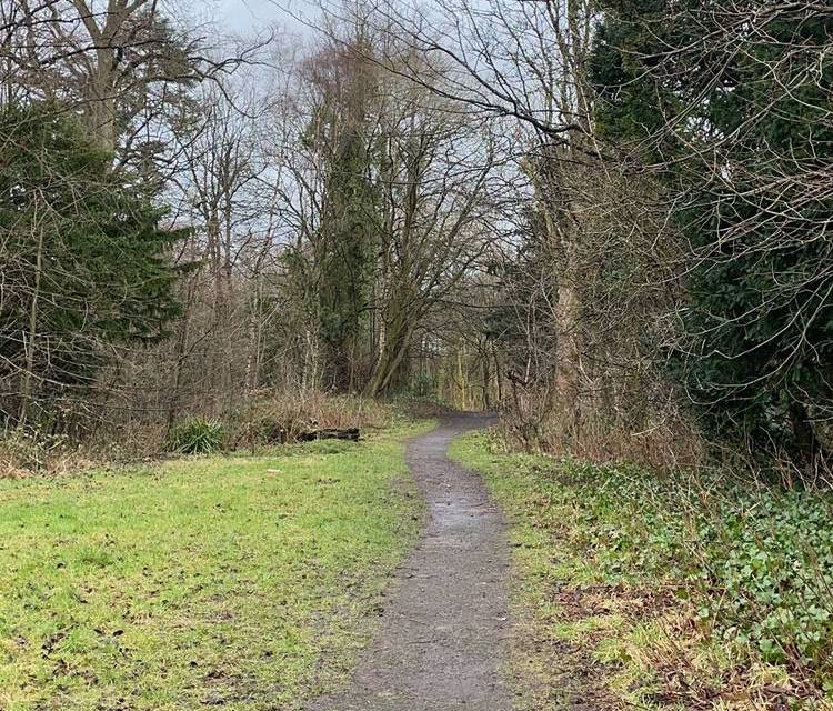 Preview of Udston Hospital through the woods