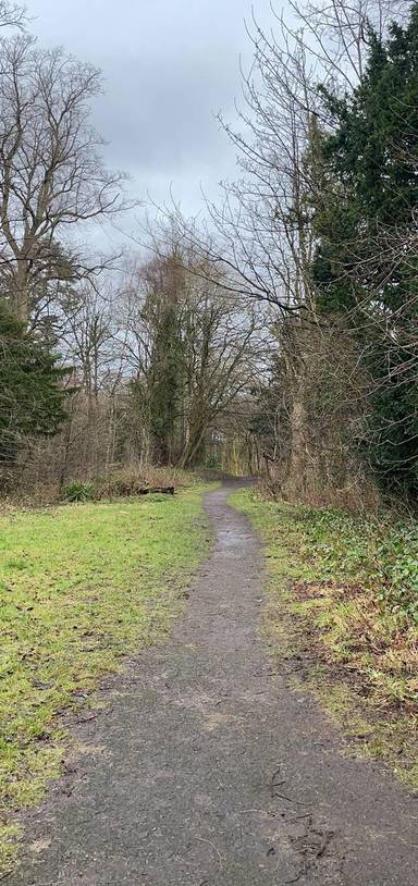 Preview of Udston Hospital through the woods