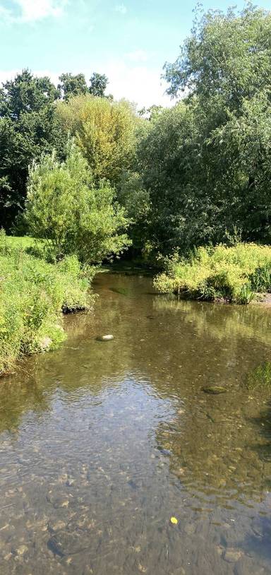 Preview of The Ponteland Pootle - Step Free