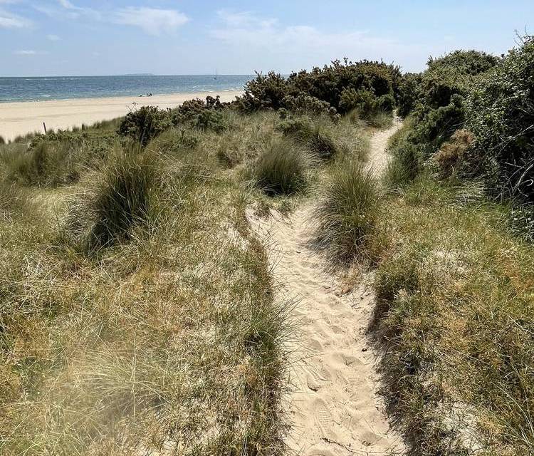 Preview of Shell Bay to Studland Bay