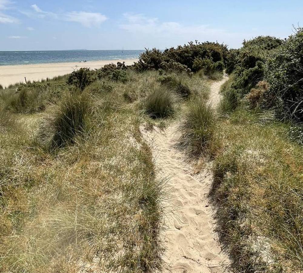 Preview of Shell Bay to Studland Bay