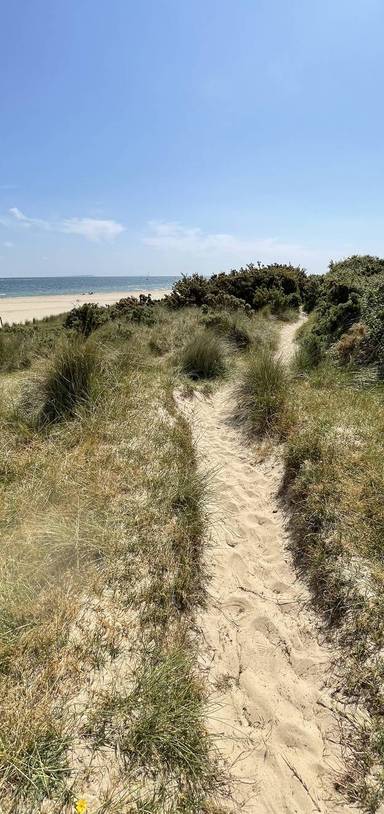 Preview of Shell Bay to Studland Bay