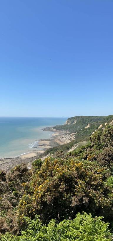 Preview of Firehills, Hastings Country Park