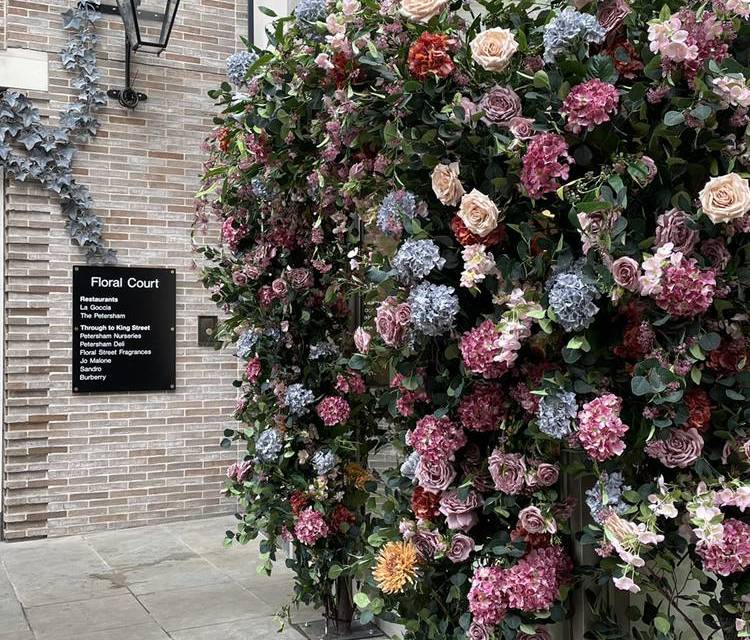 Preview of Moments of Joy in Covent Garden