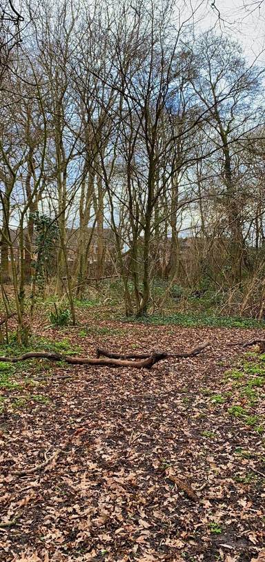 Preview of Melbourne Park Meander